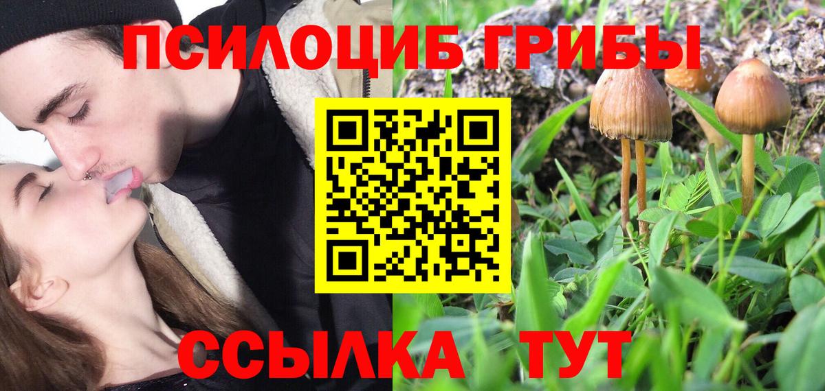 Чебаркуль  где найти наркотики  Псилоцибиновые грибы прущие грибы  Вход с VPN  Галлюциногенные грибы GOLDEN TEACHER 