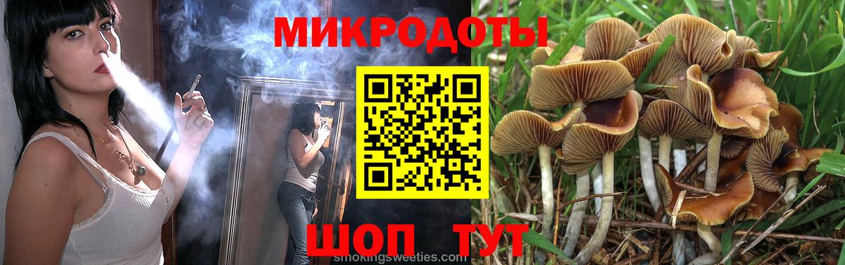 Галлюциногенные грибы Psilocybe Чебаркуль